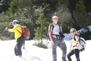 img_1206789014_280