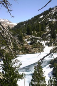img_1206789026_285