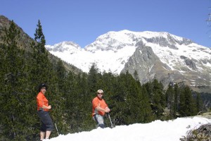 img_1206789026_614