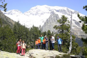 img_1206789026_785