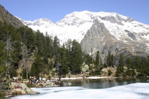 img_1206789027_896