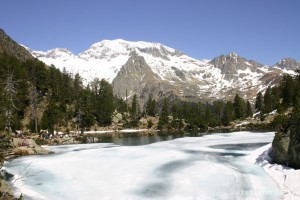 img_1206789028_338
