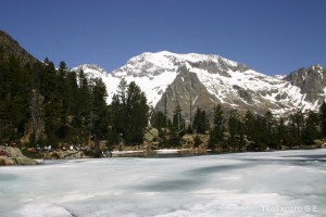img_1206789028_710