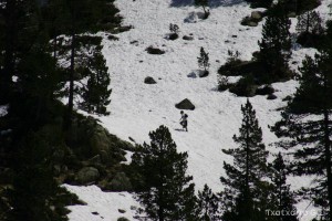 img_1206789029_284