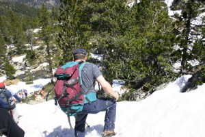 img_1206789032_640