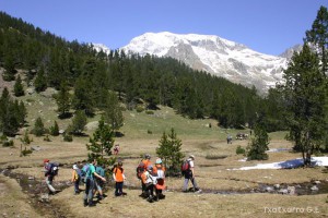 img_1206789032_972