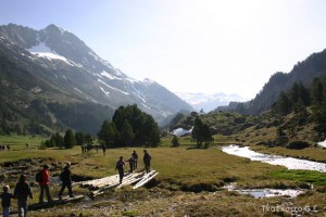 img_1206789055_152