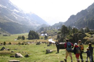 img_1206789055_981
