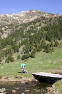img_1206789056_251