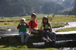 img_1206789057_426