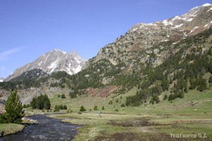 img_1206789057_840