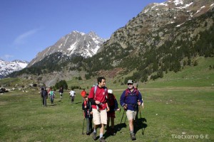 img_1206789059_50