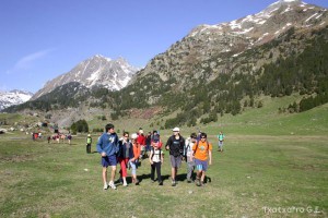 img_1206789059_887