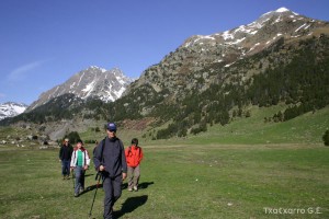 img_1206789060_872