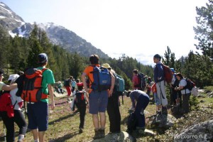 img_1206789061_217