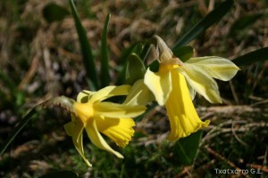 img_1206789064_380