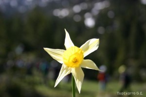 img_1206789064_927