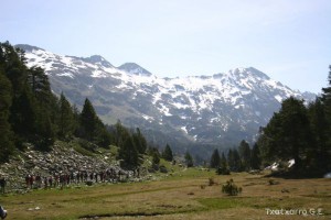 img_1206789065_423