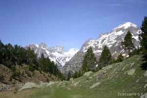 img_1206789065_725