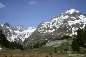 img_1206789066_532
