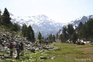 img_1206789066_755