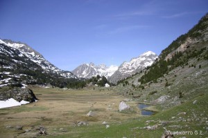 img_1206789067_209