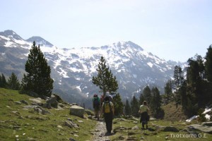 img_1206789067_772
