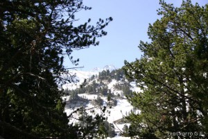 img_1206789068_133