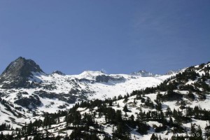 img_1206789068_531