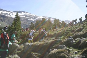 img_1206789068_724