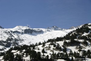 img_1206789069_248