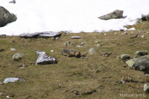 img_1206789070_656