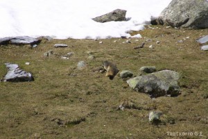 img_1206789070_909