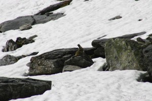 img_1206789071_149