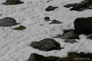 img_1206789071_853