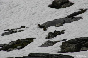 img_1206789072_380