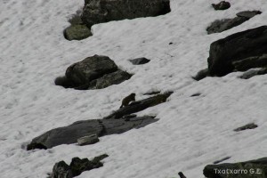 img_1206789072_672