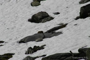 img_1206789072_994