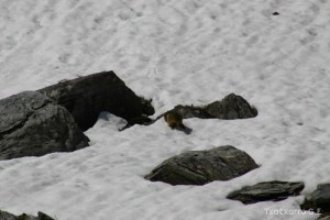 img_1206789073_21