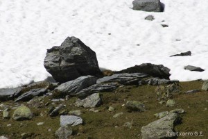img_1206789073_359