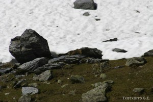 img_1206789073_668