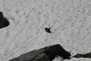 img_1206789074_48