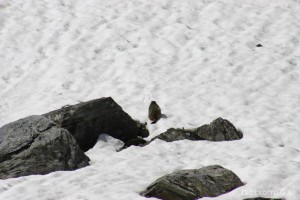 img_1206789074_60