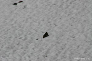 img_1206789074_710