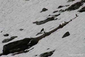 img_1206789075_468