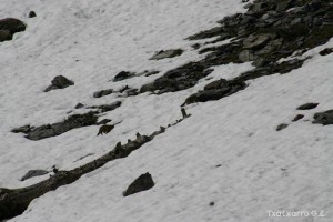 img_1206789075_629