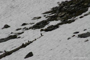 img_1206789075_651