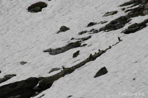 img_1206789075_78