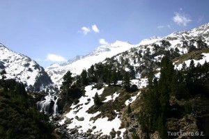 img_1206789076_397