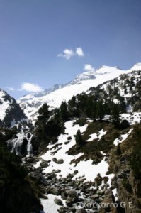 img_1206789076_636